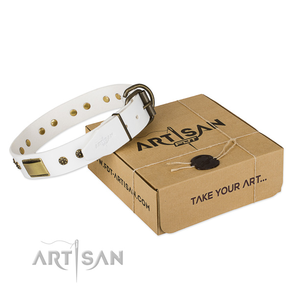 Inimitable full grain leather collar for your impressive dog