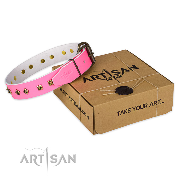 Strong fittings on full grain genuine leather dog collar for easy wearing