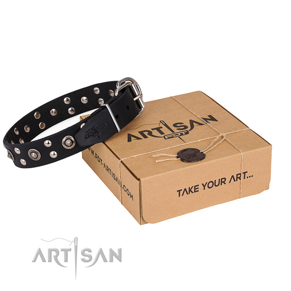 Stylish walking dog collar with Inimitable reliable embellishments