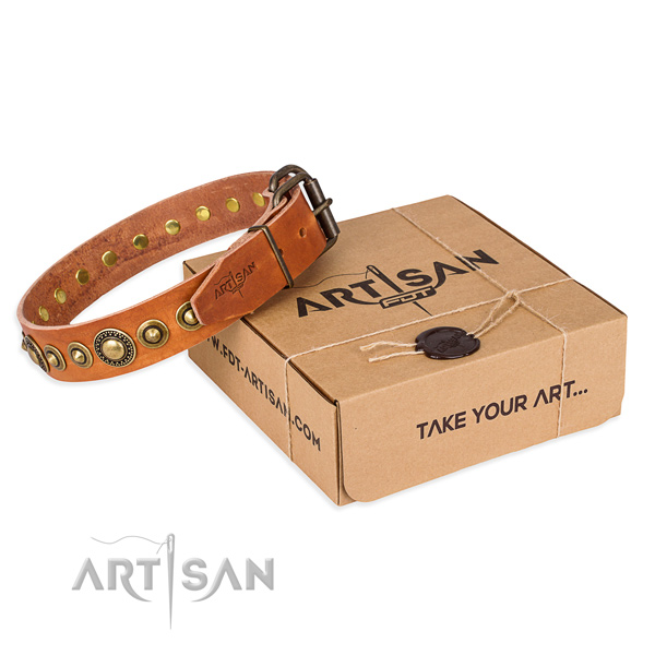 Flexible full grain natural leather dog collar handcrafted for basic training