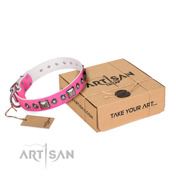 Quality genuine leather dog collar made for basic training