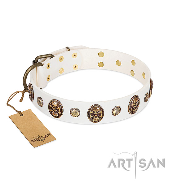 Incredible full grain natural leather dog collar for handy use