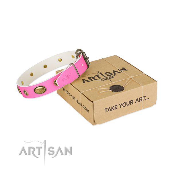 Designer full grain leather collar for your lovely four-legged friend
