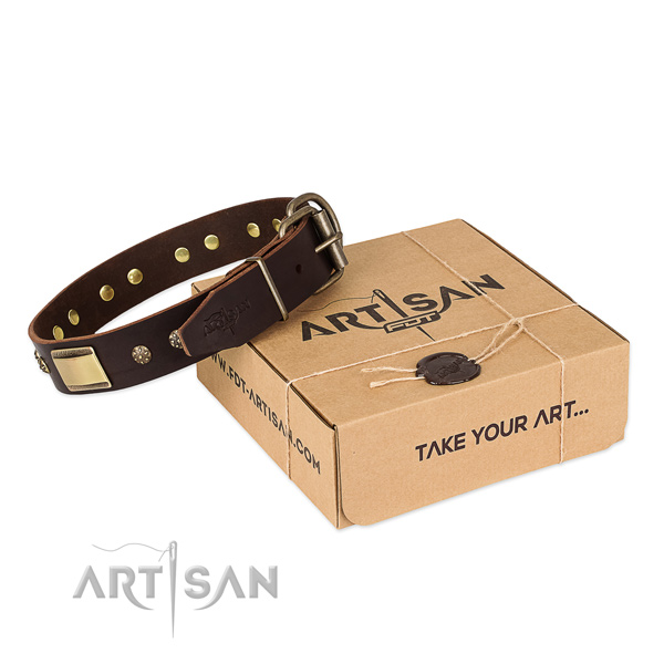 Amazing full grain natural leather collar for your lovely dog