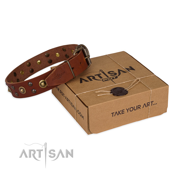 Corrosion proof buckle on genuine leather collar for your stylish pet