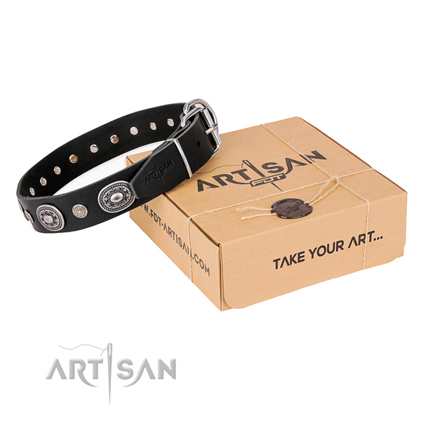 Durable full grain natural leather dog collar created for daily use