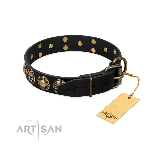 Rust resistant buckle on comfortable wearing dog collar