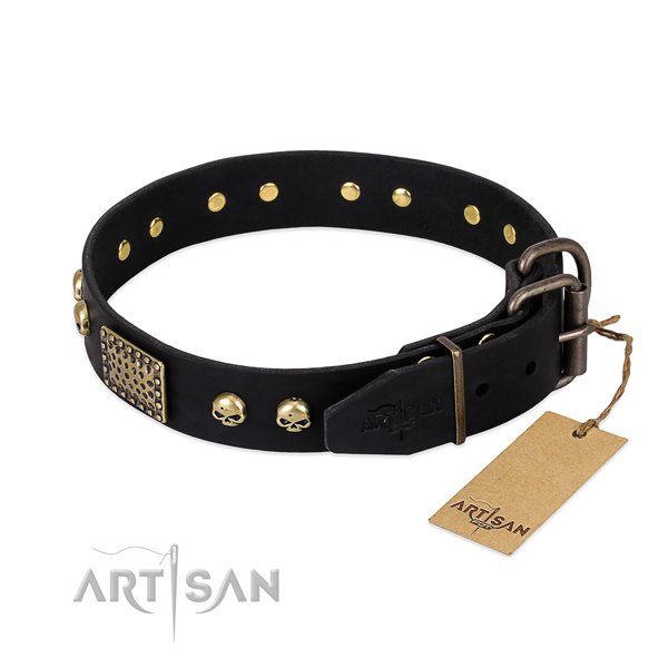 Corrosion resistant hardware on stylish walking dog collar