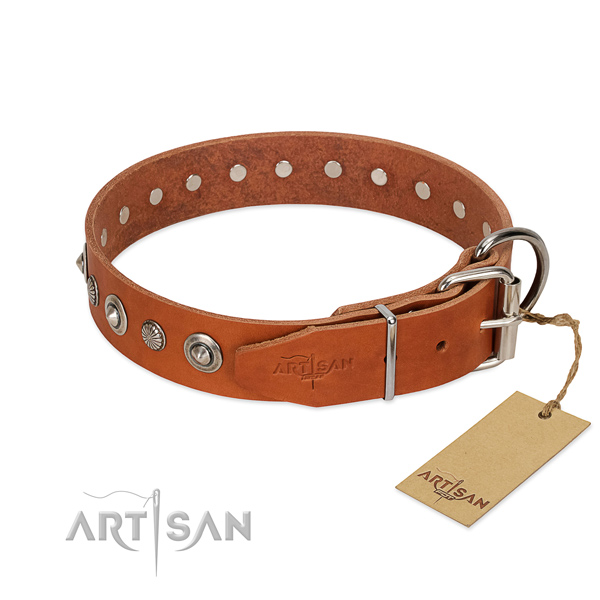 Quality full grain genuine leather dog collar with unusual embellishments