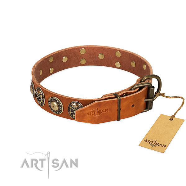 Strong buckle on daily walking dog collar