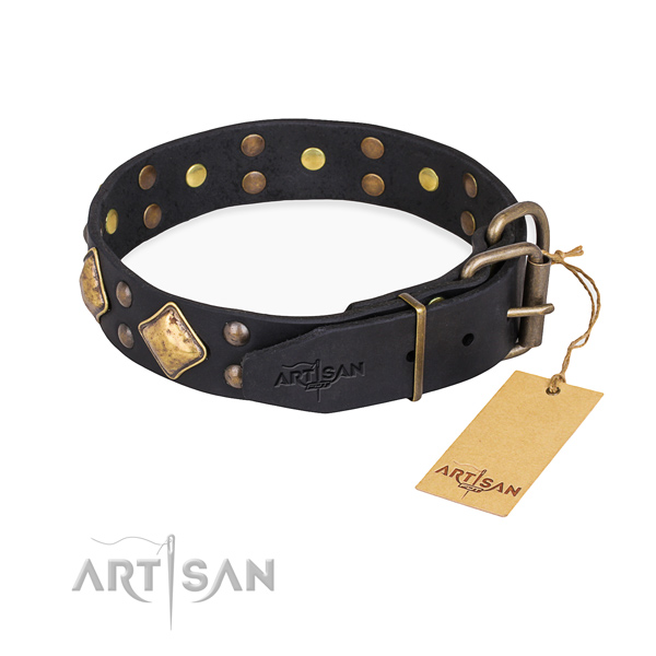 Genuine leather dog collar with unique corrosion resistant studs