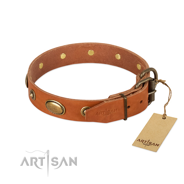 Reliable studs on genuine leather dog collar for your pet