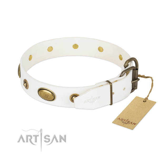 Durable traditional buckle on full grain genuine leather dog collar for your canine
