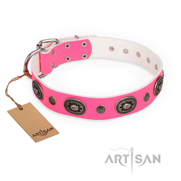 Top notch full grain leather dog collar crafted for everyday use