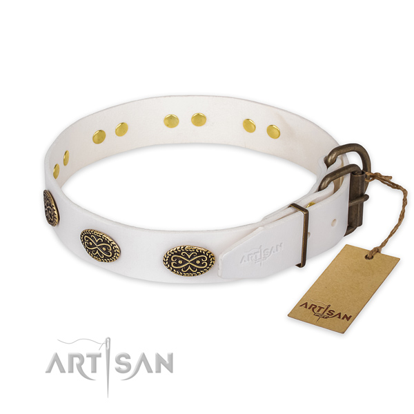 Reliable traditional buckle on full grain genuine leather collar for fancy walking your canine