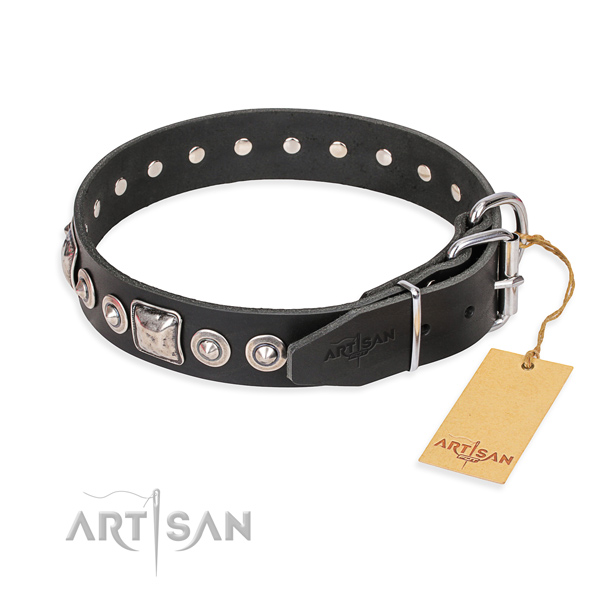 Full grain leather dog collar made of reliable material with reliable adornments