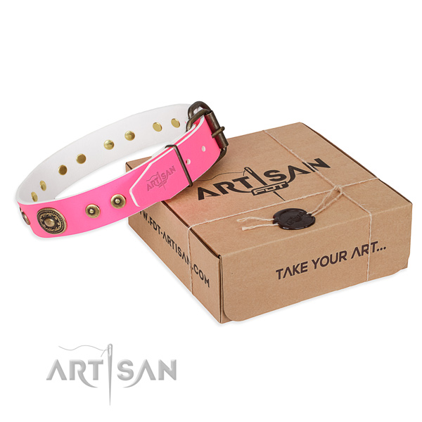 Full grain natural leather dog collar made of gentle to touch material with strong D-ring