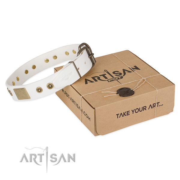 Easy wearing full grain natural leather collar for your stylish pet