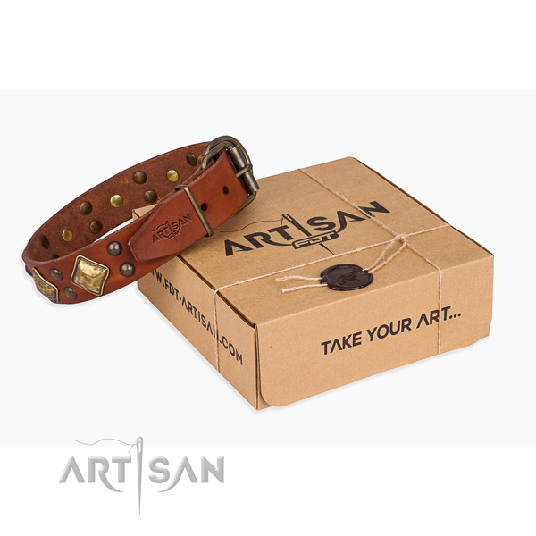 Comfortable wearing dog collar with Unusual rust-proof studs