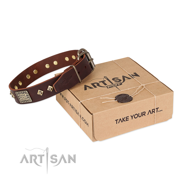 Exquisite leather collar for your lovely doggie