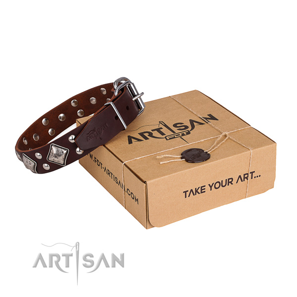 Easy wearing dog collar with Fashionable reliable decorations