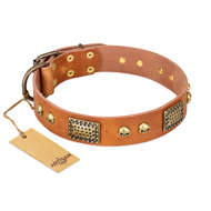 "Saucy Nature" FDT Artisan Tan Leather Cane Corso Collar with Old Bronze Look Plates and Skulls
