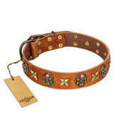 "Rockin' Doggie" FDT Artisan Tan Leather Cane Corso Collar Adorned with Stars and Skulls