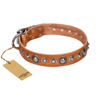 "Daily Chic" FDT Artisan Tan Leather Cane Corso Collar with Decorations