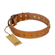 "Autumn Story" FDT Artisan Leather Cane Corso Collar with Old Bronze Look Studs "Autumn Story" FDT Artisan Leather Cane Corso Collar with Old Bronze Look Studs