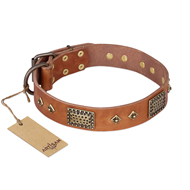 "Catchy Look" FDT Artisan Decorated Tan Leather Cane Corso Collar