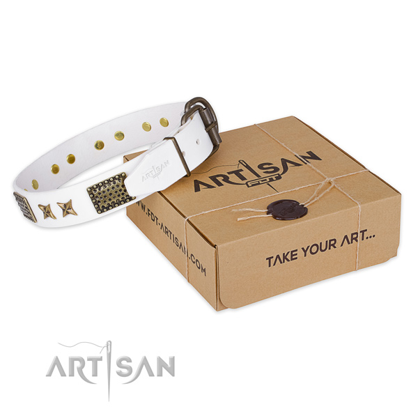 Durable hardware on full grain leather collar for your handsome dog