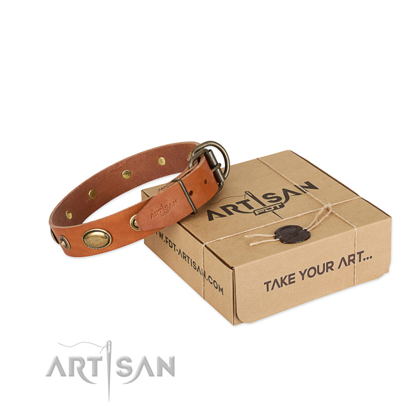 Strong buckle on full grain natural leather dog collar for your canine