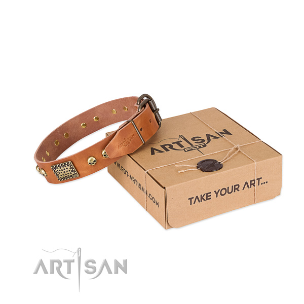Reliable buckle on dog collar for daily use