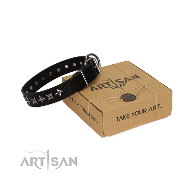 Daily use dog collar of quality genuine leather with embellishments