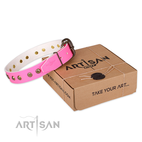 Strong hardware on genuine leather collar for your handsome four-legged friend