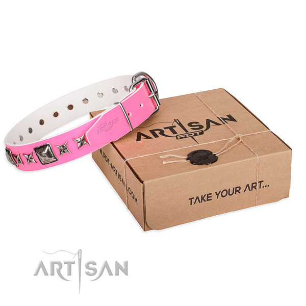 Walking full grain genuine leather dog collar with studs