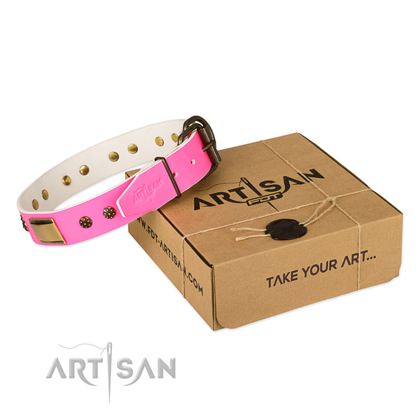 Inimitable leather collar for your attractive pet