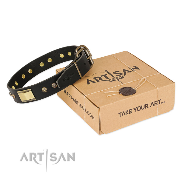 Top notch leather collar for your impressive four-legged friend