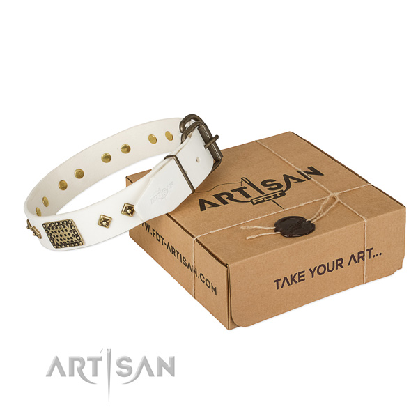 Adorned full grain natural leather collar for your attractive four-legged friend