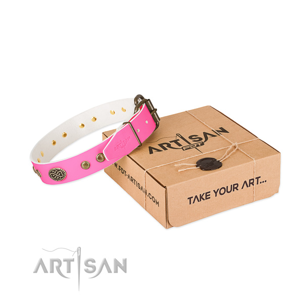 Durable adornments on leather dog collar for your canine