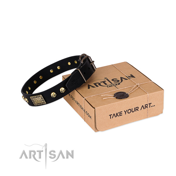 Durable adornments on dog collar for basic training