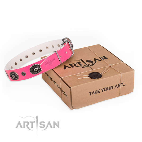 Top rate genuine leather dog collar crafted for daily use