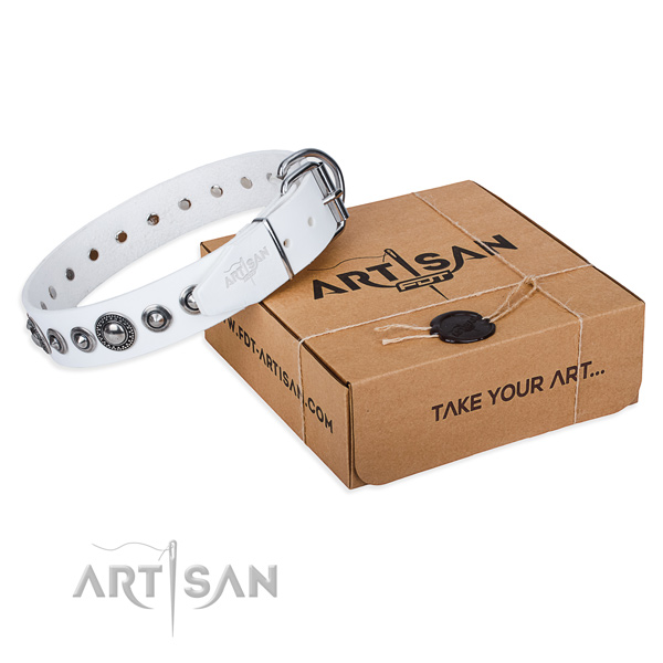 Full grain natural leather dog collar made of soft to touch material with reliable fittings