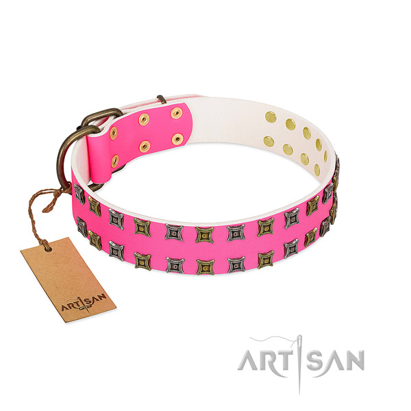 Full grain leather collar with stylish studs for your pet