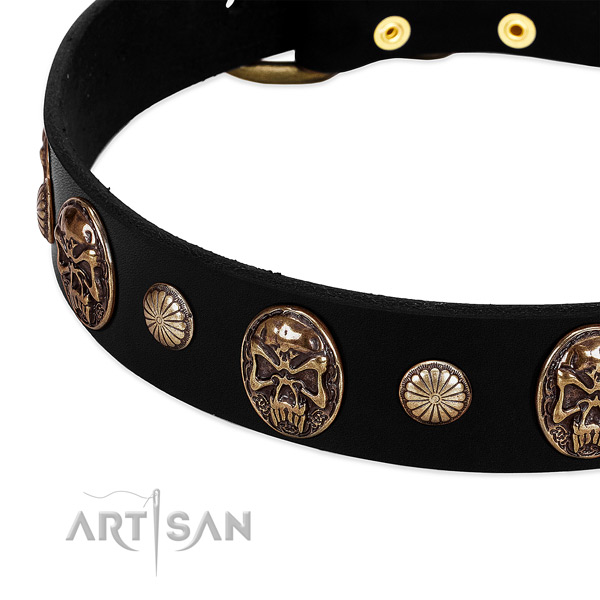 Leather dog collar with impressive studs