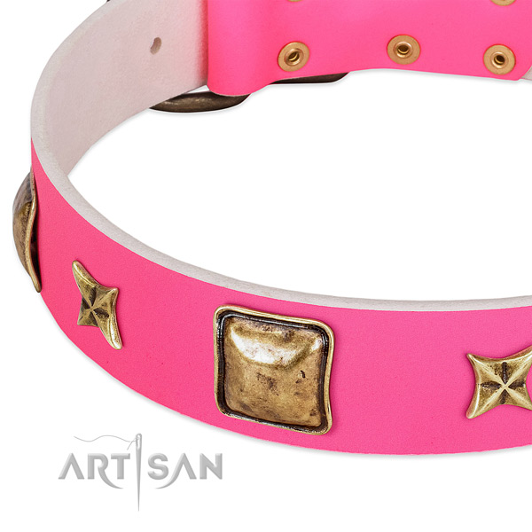 Full grain genuine leather dog collar with impressive embellishments