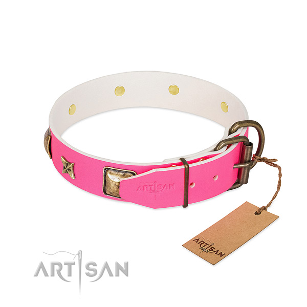 Durable fittings on natural genuine leather collar for everyday walking your pet
