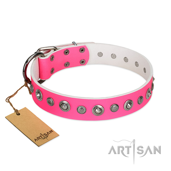 Top notch full grain natural leather dog collar with unusual adornments