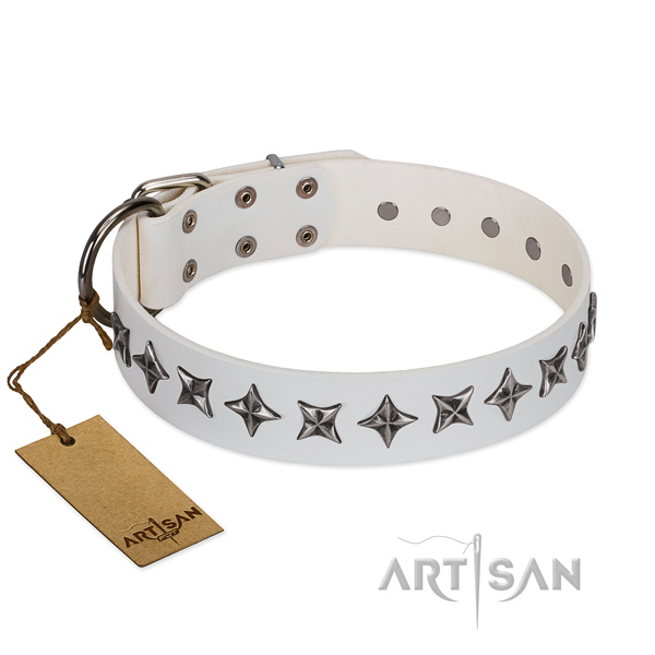 Walking dog collar of reliable genuine leather with decorations