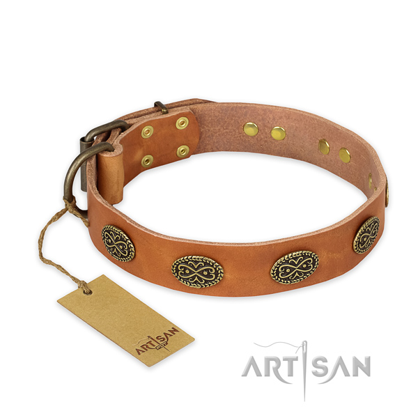 Exceptional full grain leather dog collar with rust resistant traditional buckle